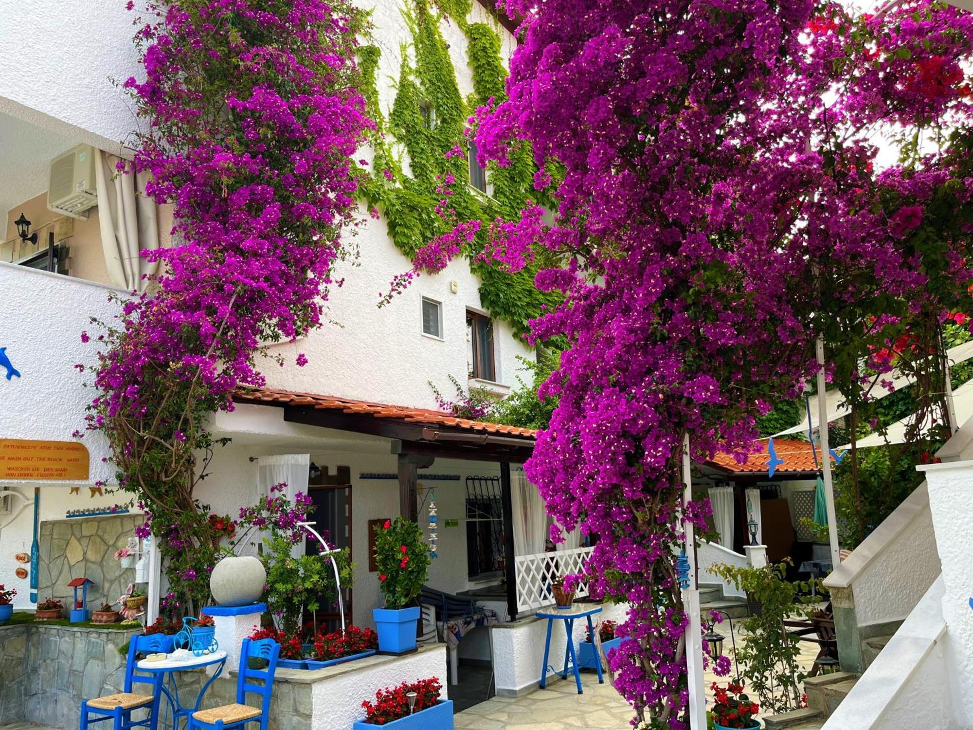 Haus Niko Apartments And Suites نيا بوتيدايا المظهر الخارجي الصورة